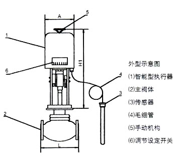 ZZWPE電動溫控調節閥外形示意圖（tú）